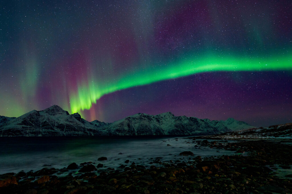 Aurora above Lyngenfjord